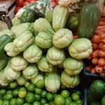 Producción de chayote en Ixtaczoquitlán, con buenos precios y empleo temporal