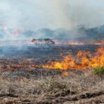 Atiende PC y CONAFOR incendio forestal en La Perla